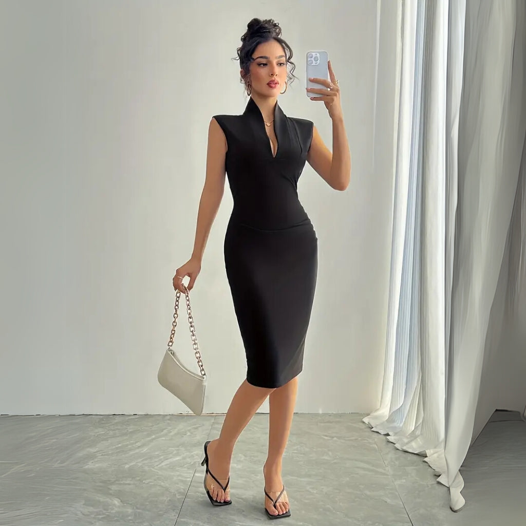 Sophisticated outfit with fitted dress